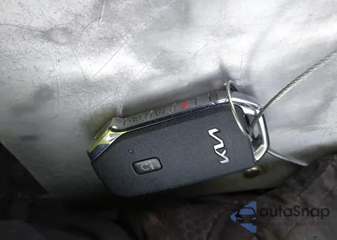 2022 Kia Telluride Ex z USA, uszkodzony, nr VIN 5XYP3DHC4NG302338